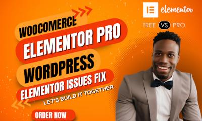 I will woocommerce elementor, install elementor pro, elementor pro, wordpress elementor