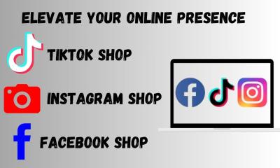 I will setup facebook instagram tiktok shops manage shopify shop