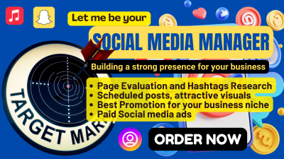 I will be organic social media marketing instagram manager facebook ad tiktok video