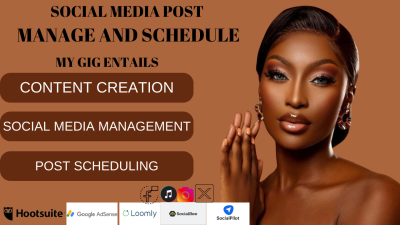 I will create and schedule post manage social media via Hootsuite, Social Pilot, Buffer