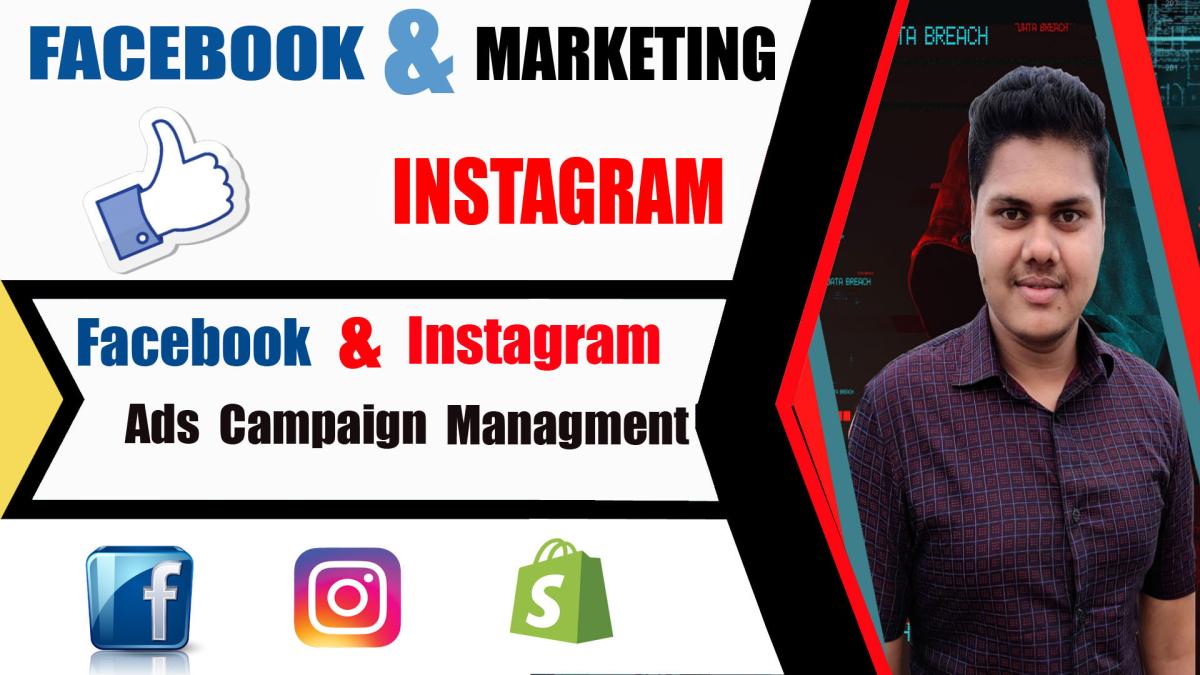 I will setup and optimize your Facebook and Instagram ads campaign