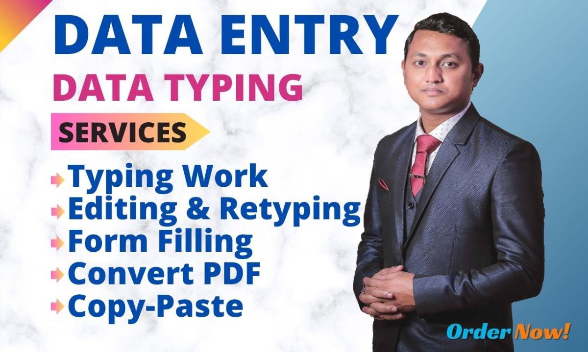 I will be your professional data typist for accurate data entry