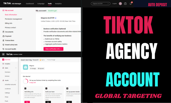 Create TikTok Agency Account, TikTok Business Ads Account for Any Country