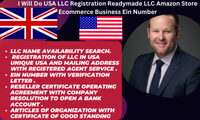 I will do USA LLC registration readymade LLC amazon store ecommerce business Ein number