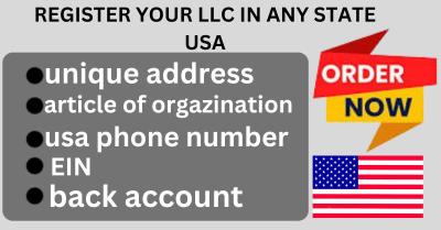 I will LLC Dissolution, LLC Reinstatement, LLC Address Change, and LLC Amendment