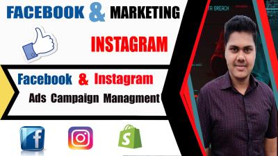 I will setup high conversion facebook ads campaign