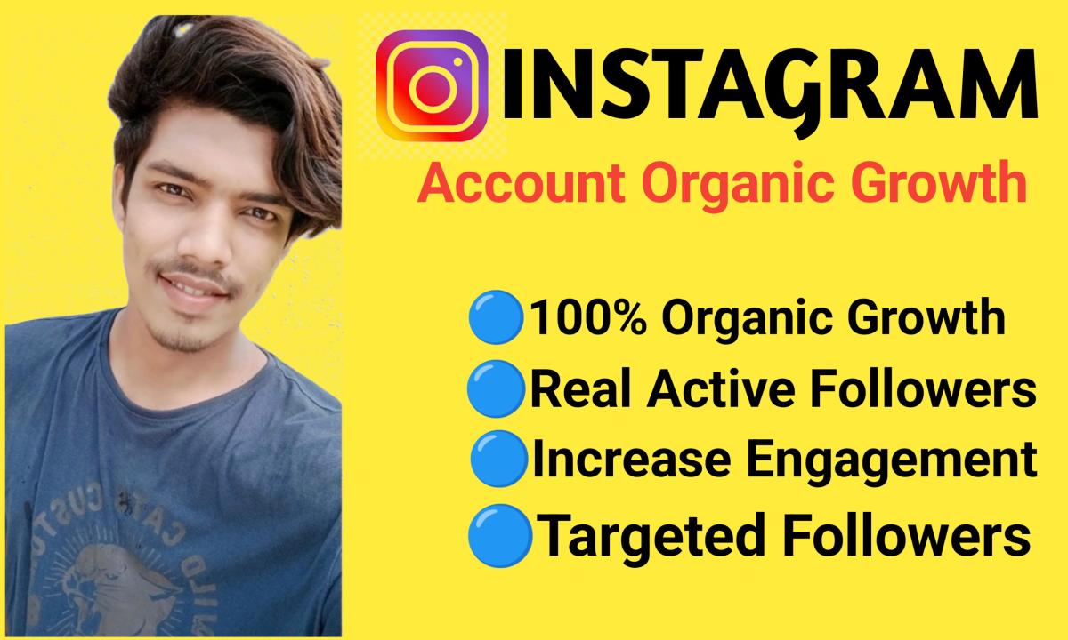 I will organic increase your Instagram account for organic growth