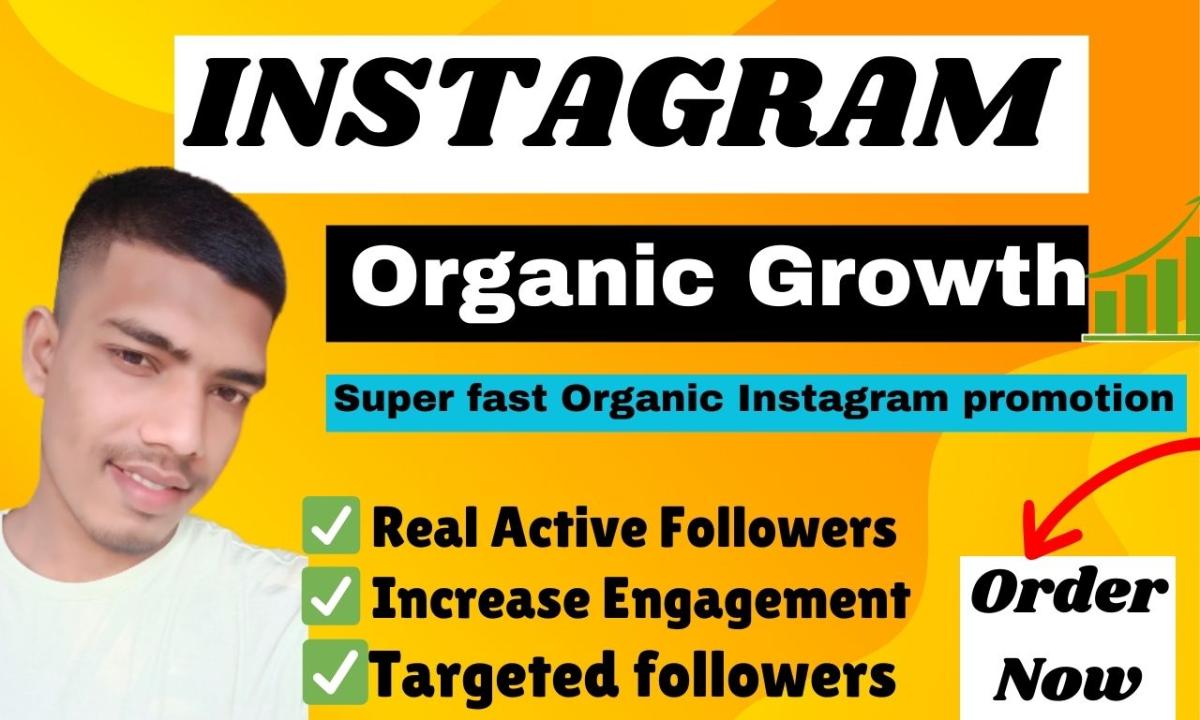 I will do super fast organic Instagram growth for organic promotion
