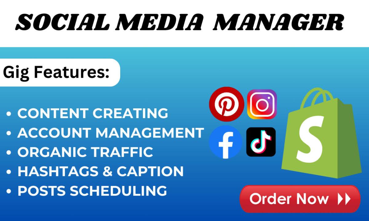 I will be your social media marketing manager via Facebook Instagram