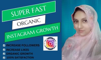 I will do super fast organic Instagram growth and promotion