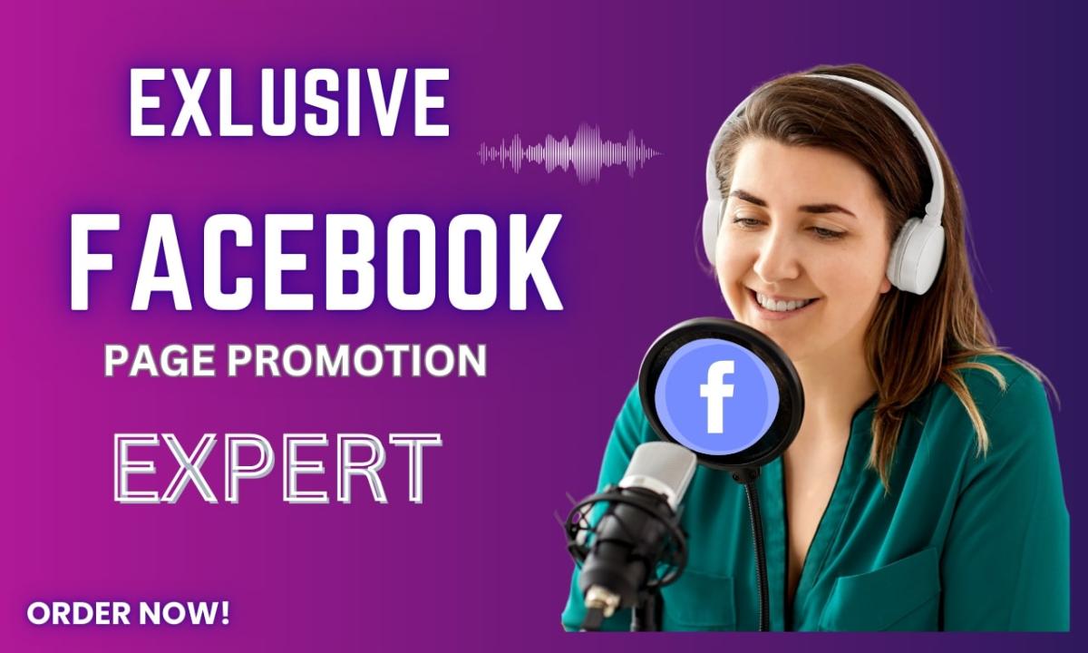 I will do facebook marketing and page promotion