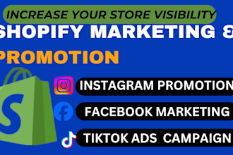 I will shopify dropshipping store promotion shopify marketing social media ads campaign