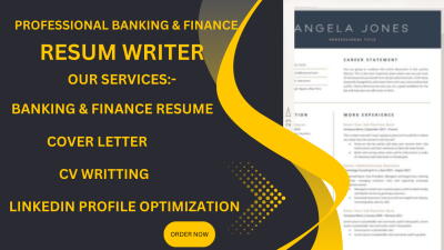 I will write a banking, finance resume, cover letter, CV, LinkedIn optimization