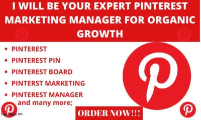 i will create 1000 pins and 1000 boards as your pinterest marketing manager for 30 days