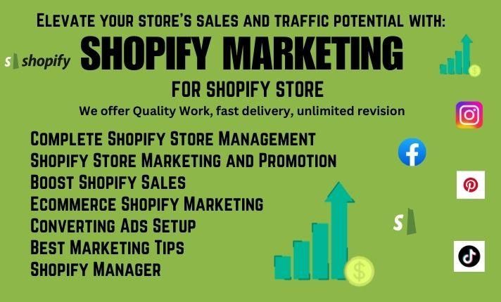 I will boost your Shopify sales, ecommerce Shopify marketing, Shopify store manager