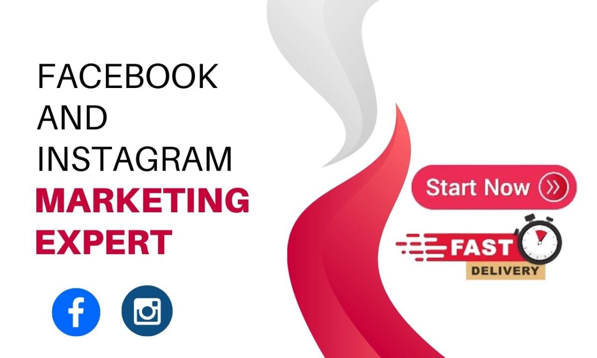 I will expert in setup and manage facebook and instagram ads campaigns to increase ROI