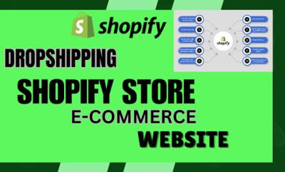 I will build automated dropshipping shopify store, shopify website, ecommerce website