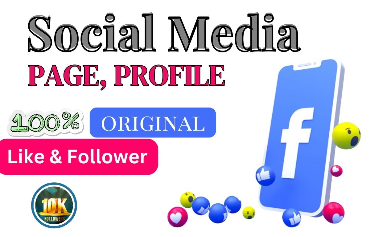 I will grow your Facebook page with real likes and followers