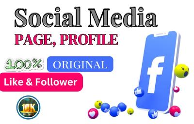 I will grow your Facebook page with real likes and followers