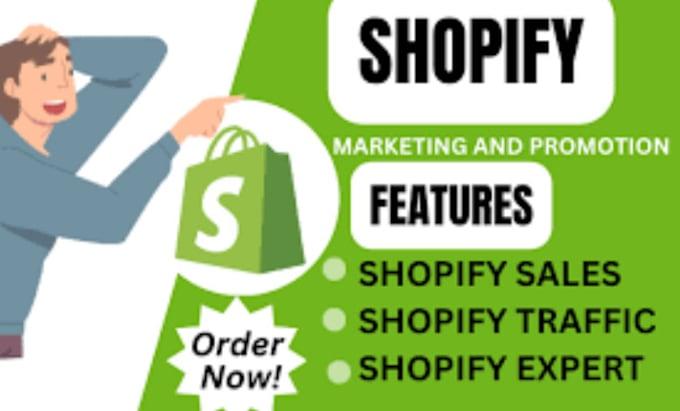 I will do shopify store marketing, shopify promotion or sales funnel