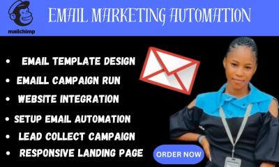 I will do mailchimp email campaign lead magnet page pop up form page email campaign