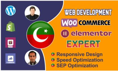 I will enhance your website with custom wordpress development and modern redesign