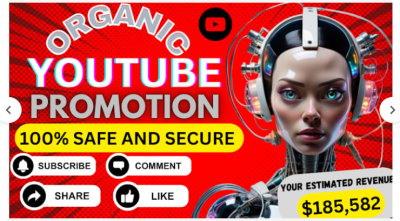 I will do organic video promotion to complete youtube channel monetization