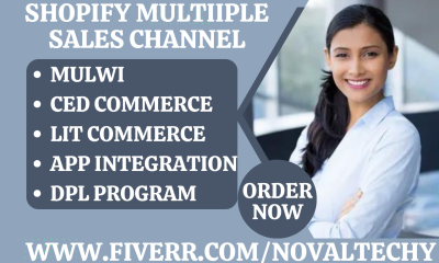 setup shopify multiple sales channel lit commerce ced commerce mulwi dpl