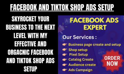 I will setup organic tiktok shop ads campaign and create converting facebook shop ads