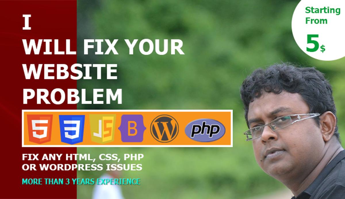 I will fix WordPress issues, problems or errors in fast