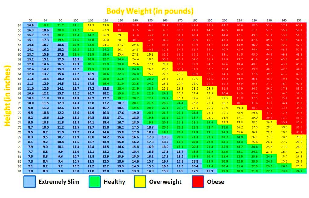 BMI Is It Something To Worry About Complete Fitness Design