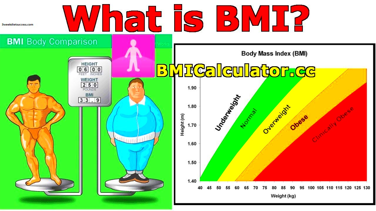 BMI Explained The 3 Week Diet Success Lose Weight Fast With The 3 