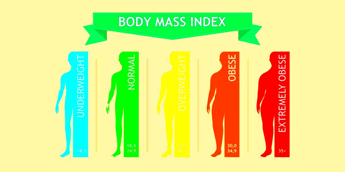 Body Mass Index What Is BMI How To Calculate It Fitterfly