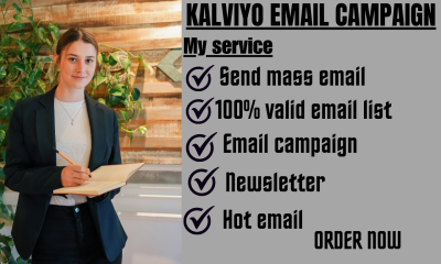 I will set up Klaviyo email marketing and blast organic email campaign for business