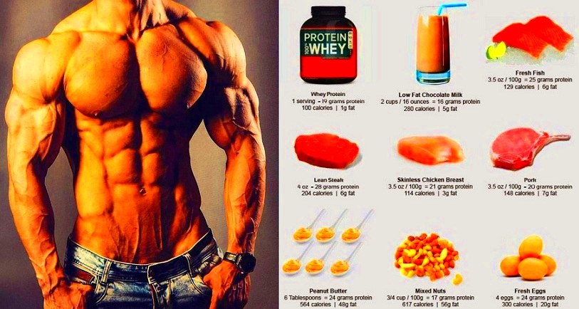 High Protein Muscle Building Foods You Must Start Eating Bodydulding