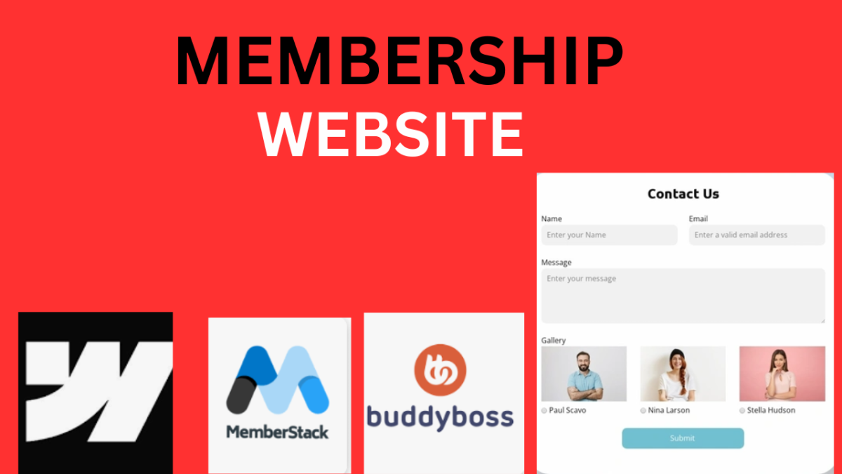 I will make a membership subscription database website on webflow with memberstack