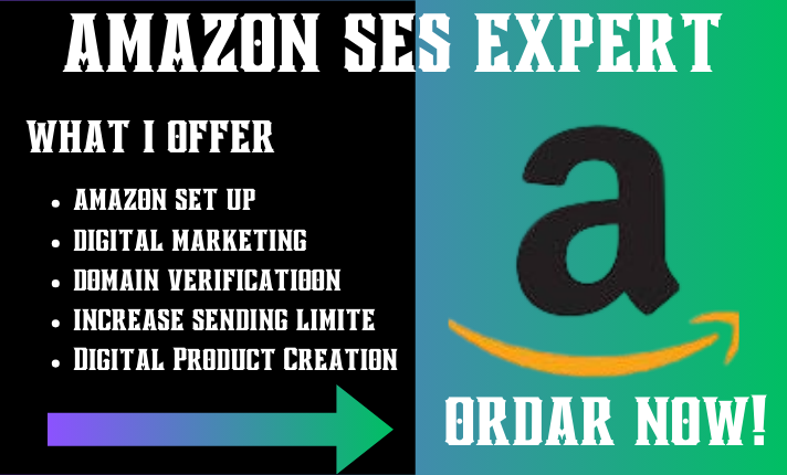 I will do amazon set up,store setup,digital product, marketing ,domain verification