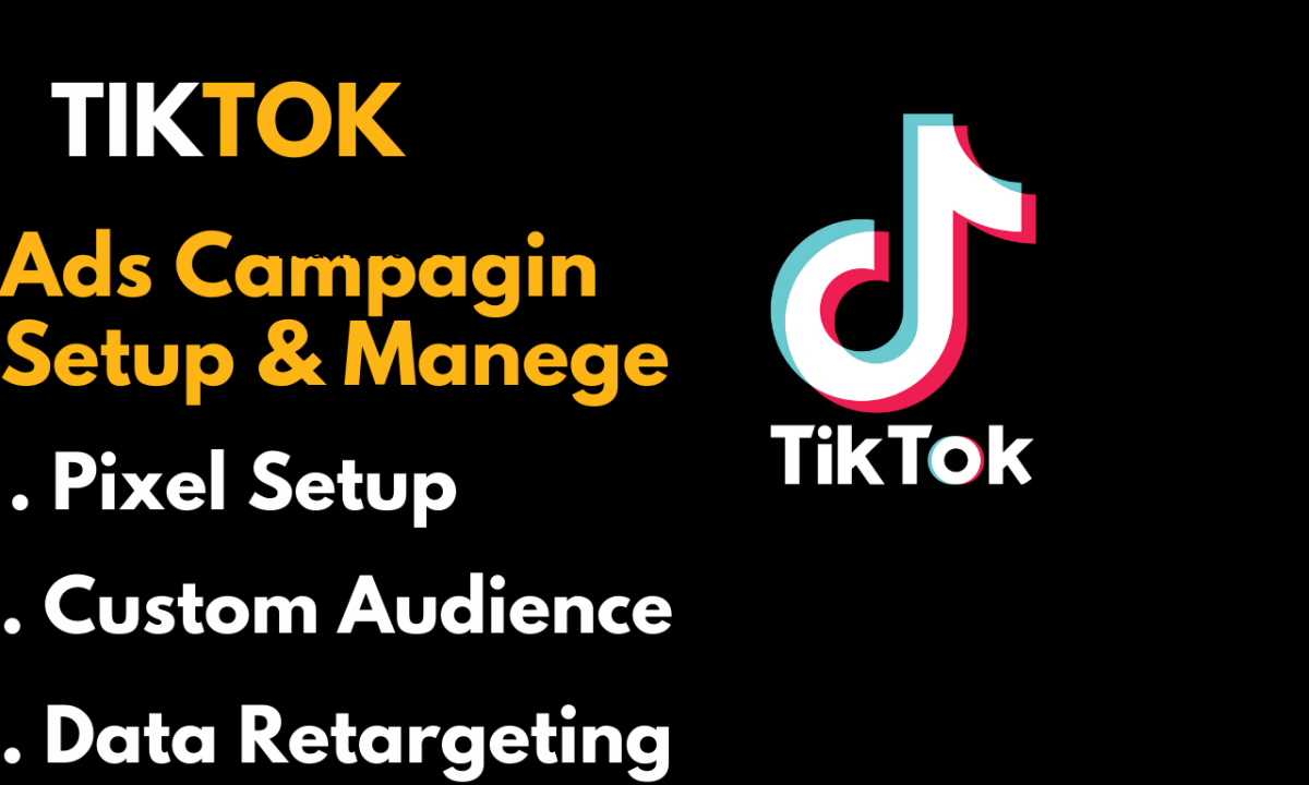 setup , manege your tiktok ads to promote your business