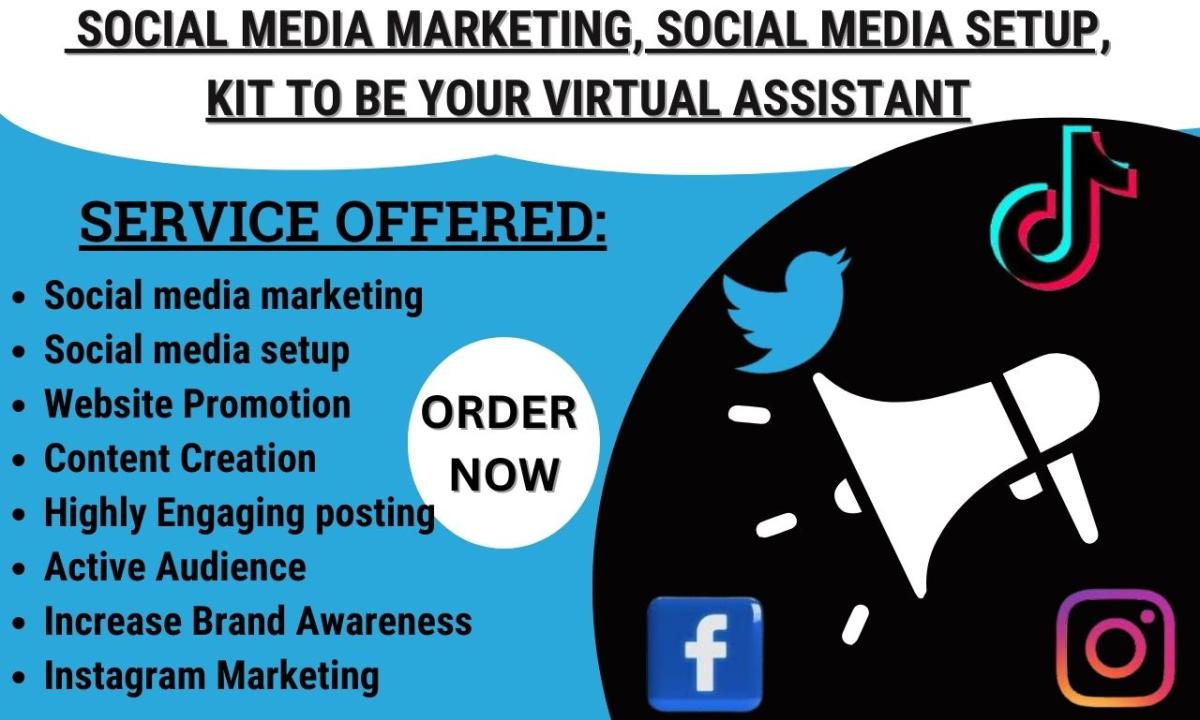 I will do social media marketing, social media setup, kit to be your virtual assistant