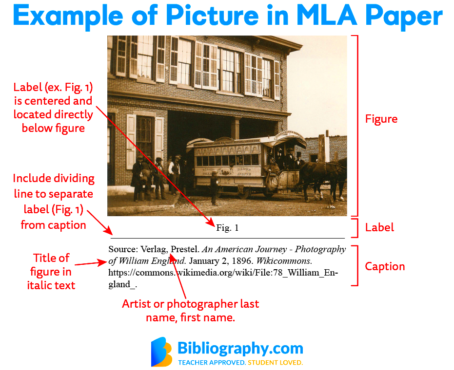 How to Cite a Picture in MLA Bibliographycom