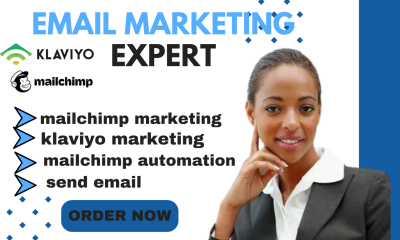 I will craft email marketing, mailchimp campaign, klaviyo automations, campaigns