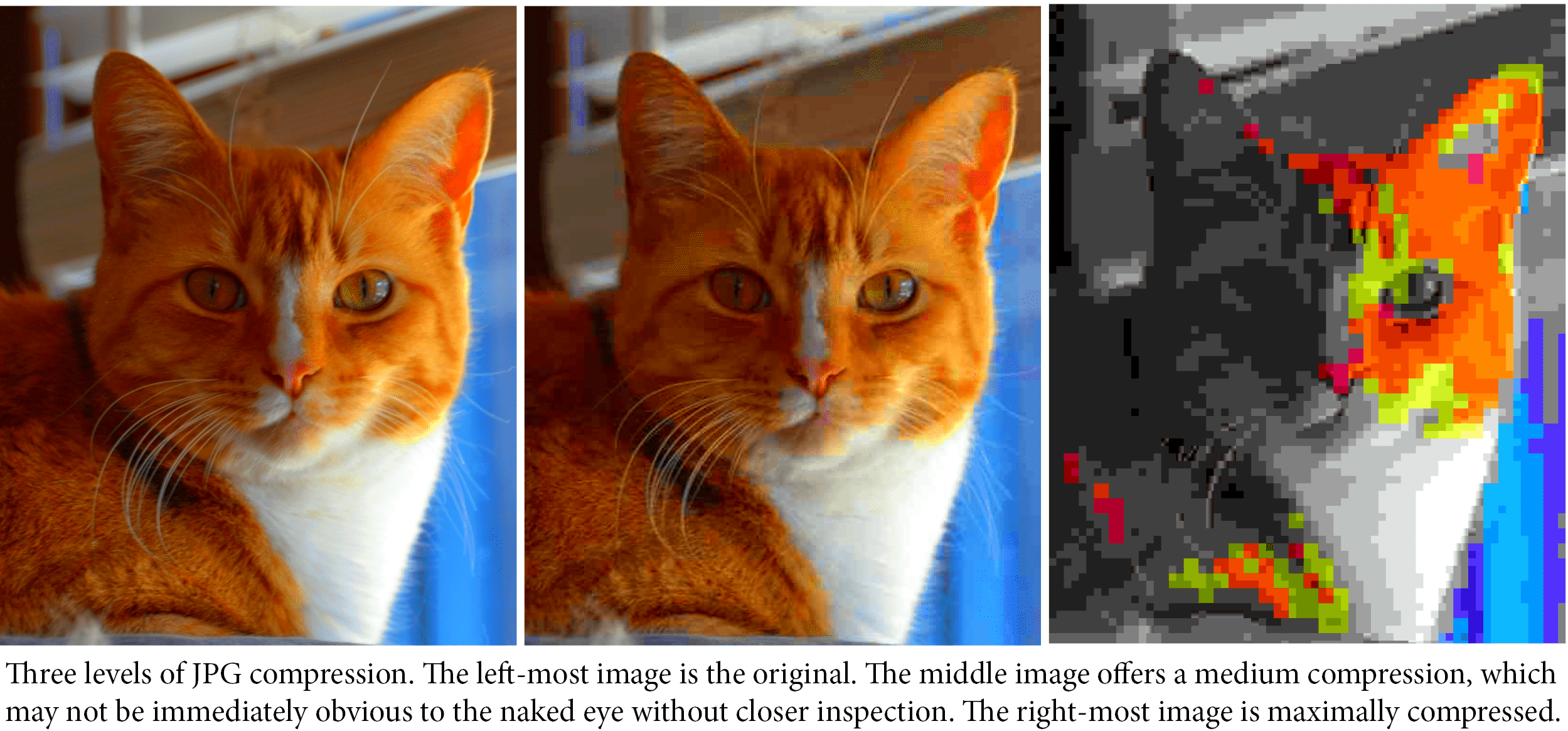 Understanding Compression in Digital Photography