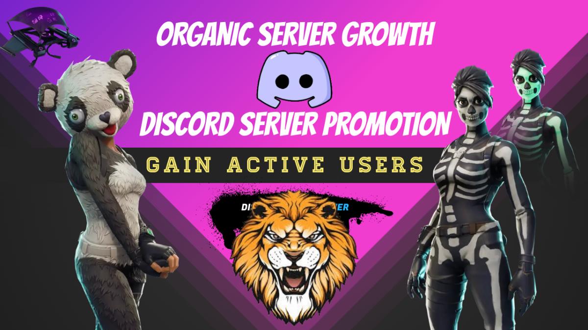 I will do organic discord server promoter, discord server promotion for maximum growth