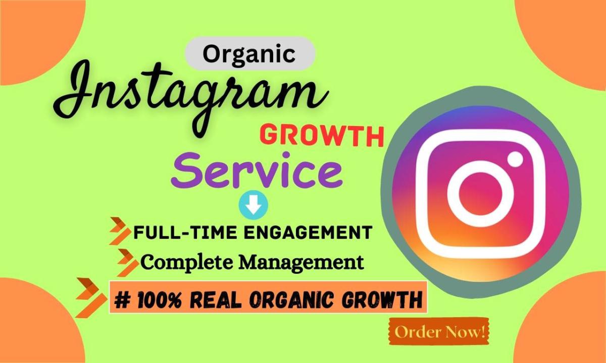 I will do superfast organic Instagram promotion