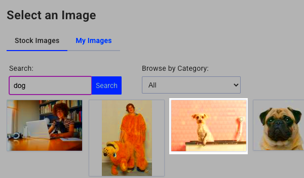 How do I search for images in the Stock Image Gallery  AWeber 