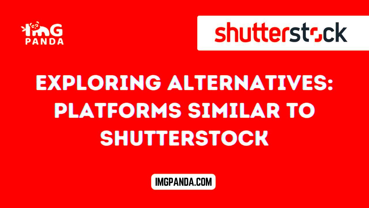 Exploring Alternatives Platforms Similar to Shutterstock IMGPANDA 