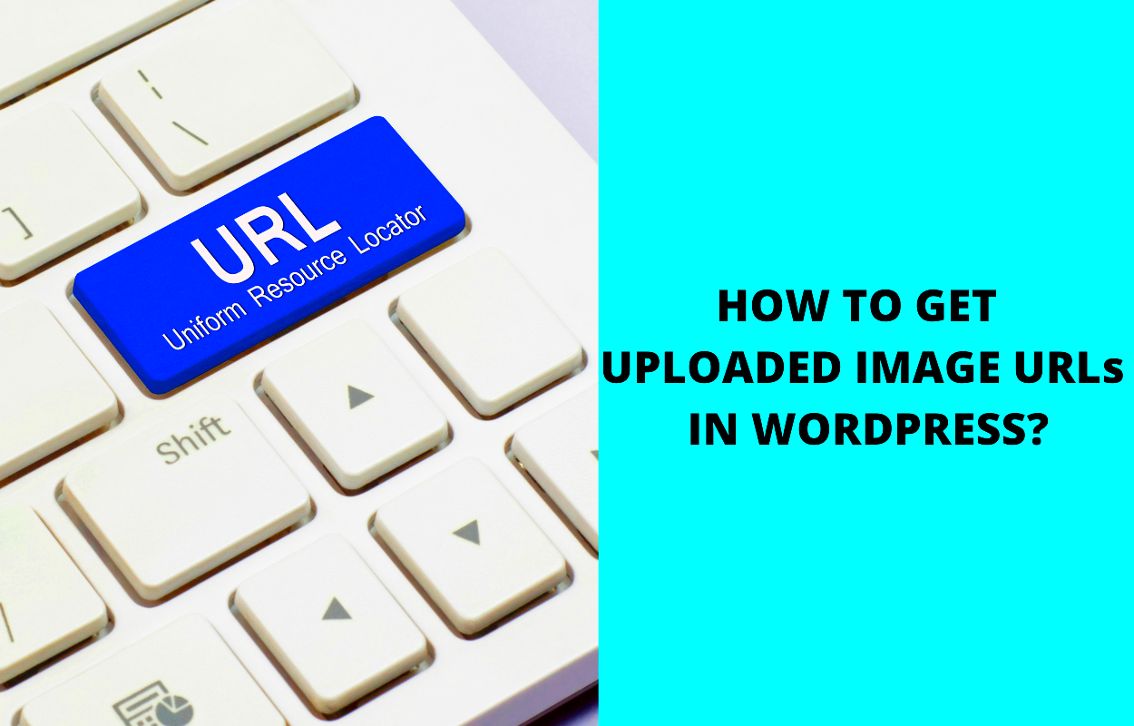 How to easily Get Uploaded Image URLs in WordPress 2024 LTHEME