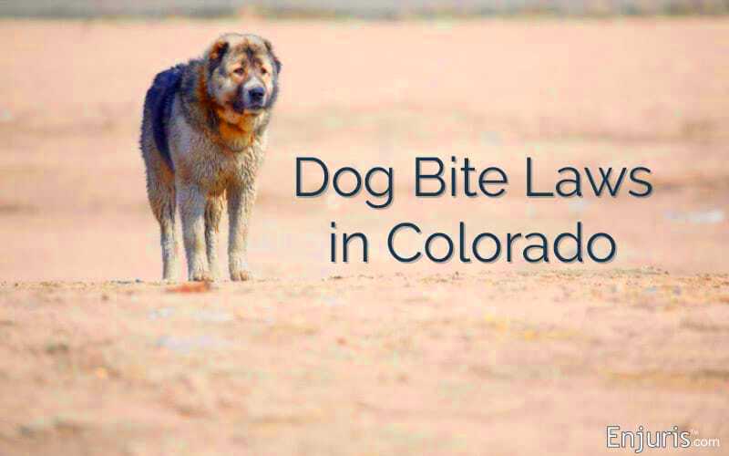 Colorado Dog Bite Law Criminal Charges Lawyer Mack Babcock