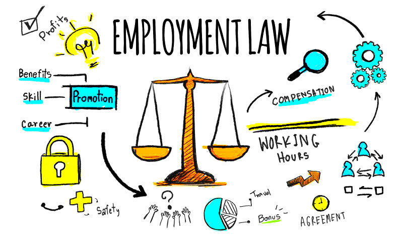 EMPLOYMENT LAW The Lawyers Jurists