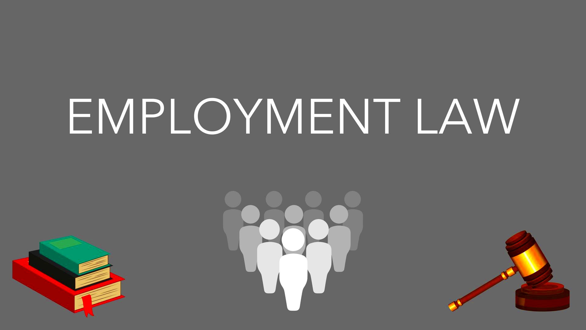 Employment Law Basics All Things HR